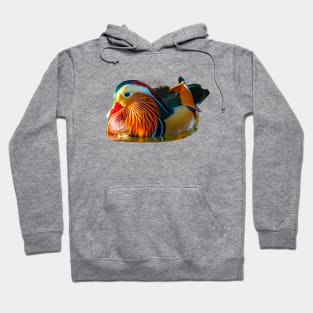 Mandarin magnificence Hoodie